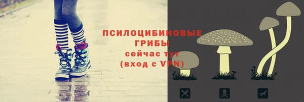 бутират Белокуриха