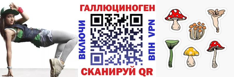 купить закладку  Кущёвская  Галлюциногенные грибы Magic Shrooms 
