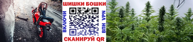 Бошки марихуана марихуана Кущёвская